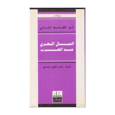 الخيال الشعري عند العرب