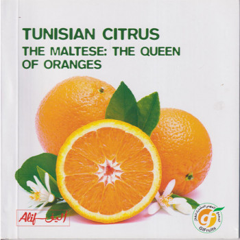 Tunisian Citrus the Maltese  The queen of oranges