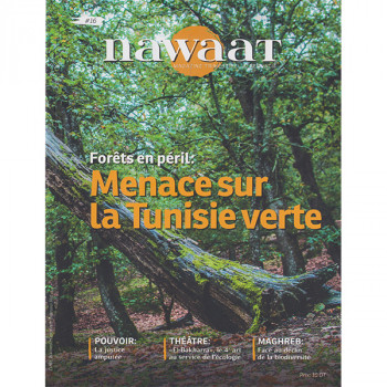 Nawaat - Magazine...