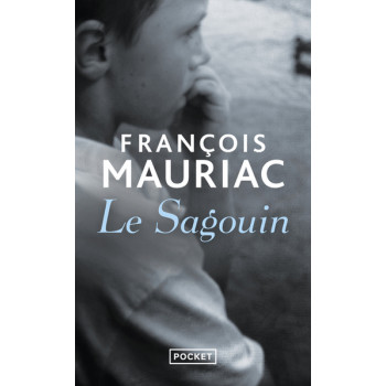 Le Sagouin