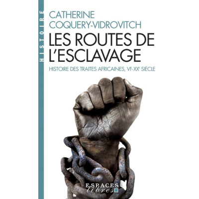 Les routes de l'esclavage. Histoires des traites africaines VIe-XXe siècle
