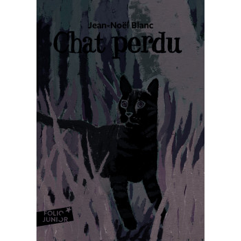 Chat perdu