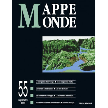 Mappemonde 55
