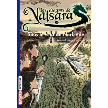 Les dragons de Nalsara, Tome 20