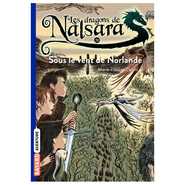 Les dragons de Nalsara, Tome 20