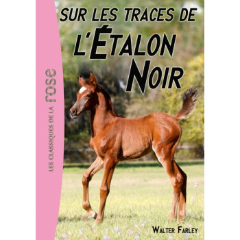 L'Étalon Noir 07 - Sur les traces de l'Étalon Noir