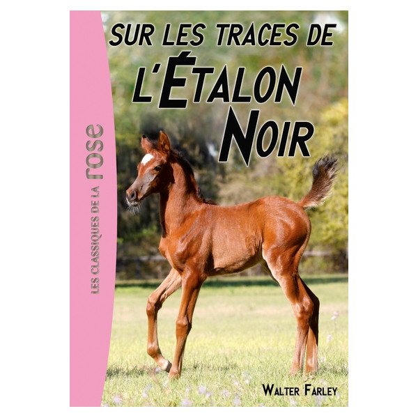 L'Étalon Noir 07 - Sur les traces de l'Étalon Noir