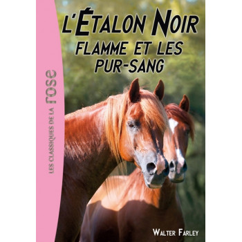 L'Étalon Noir 11 - Flamme et les pur-sang