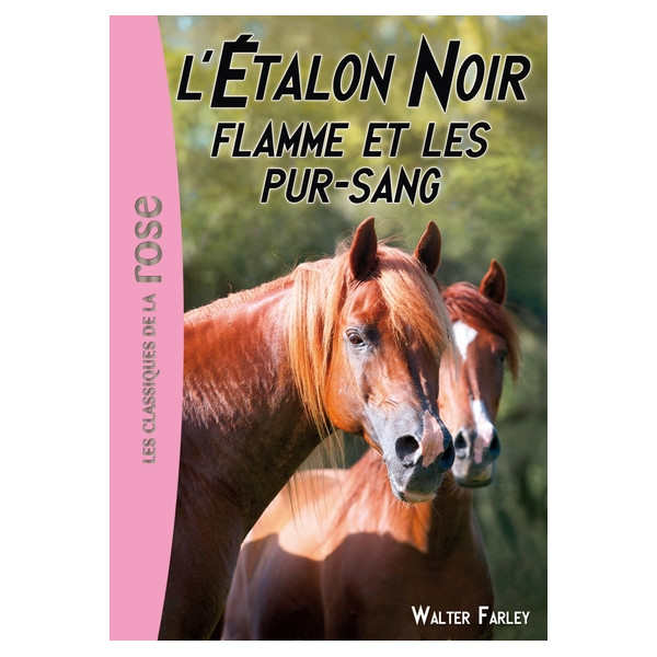 L'Étalon Noir 11 - Flamme et les pur-sang