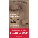 Beyrouth 2020 - Journal d'un effondrement