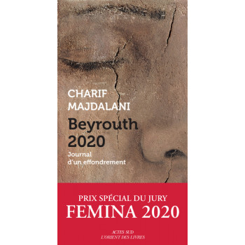 Beyrouth 2020 - Journal d'un effondrement