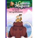 La cabane magique, Tome 06