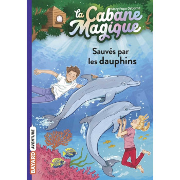 La cabane magique, Tome 12